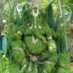 Krishnaraj (@krishna73674119) Twitter profile photo Krishnaraj (@krishna73674119) Twitter profile photo