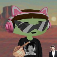 notime (@tylortips) 's Twitter Profile