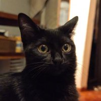 El Tío Vick (@vick_tio) 's Twitter Profile Photo El Tío Vick (@vick_tio) 's Twitter Profile Photo