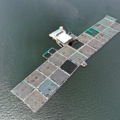 We present research, facts and policy preferences about the aquaculture sector to persuade government into action. We also advocate for sustainable production