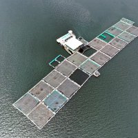 Chamber of Aquaculture Ghana (@chamberofaquac1) 's Twitter Profile Photo Chamber of Aquaculture Ghana (@chamberofaquac1) 's Twitter Profile Photo