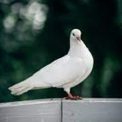 at280ben's profile picture. Never accept a situation as it is. Argue, Question,  and Explore - Jacko, 1983