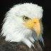 ABELL JH (@abelleagles) Twitter profile photo ABELL JH (@abelleagles) Twitter profile photo