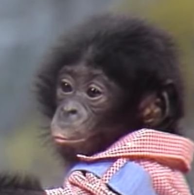 alike01b's profile picture. 