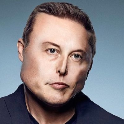 elonmocs's profile picture. 