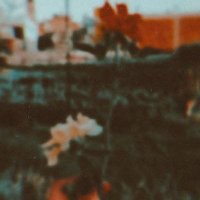 Safia Atef (@safia_atef) 's Twitter Profile