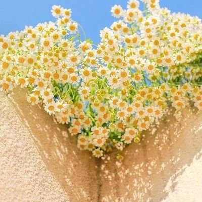 🐰박지훈(official_twt) @Park_Jihoon_twt
(INA fan account) https://t.co/iKV25mocOM