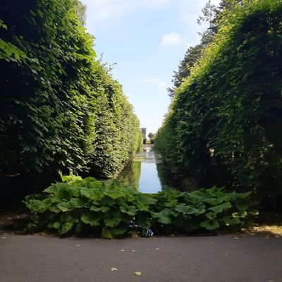 PrzmSt12's profile picture. 