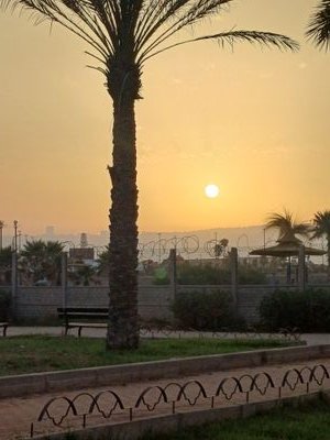 jouvence_libert's profile picture. 