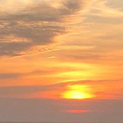 TBolism's profile picture. Tech is interesting