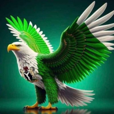 gilima_habib's profile picture. Either good or bad, feel free to ask and i promise you a humble response.