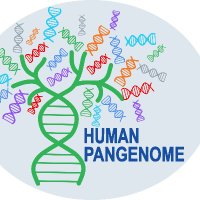 Human Pangenome Reference Consortium (@humanpangenome) 's Twitter Profile Photo Human Pangenome Reference Consortium (@humanpangenome) 's Twitter Profile Photo
