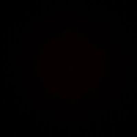 Sofia Metivier (@sofiametivier) 's Twitter Profile