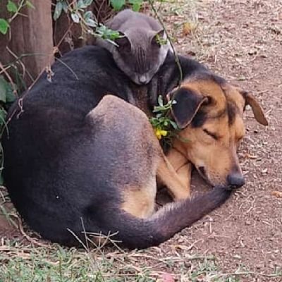 gikunju_jnr's profile picture. Cogito, ergo sum. I think, therefore, I am.