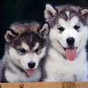 Xena White - @XenaWhite1999 - Twitter