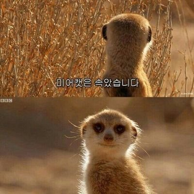 LM_ong_'s profile picture. 올마커 - 린데아

우가작 - 서별희

정족지세 - 하오지 카이팡