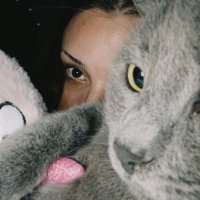 . (@mysnall) 's Twitter Profile