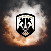 Broxbourne Badgers FC (@broxbourne_bfc) 's Twitter Profile