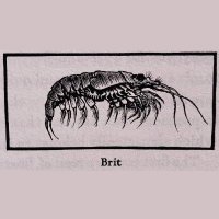 Brit (@regionalflan) 's Twitter Profile Photo Brit (@regionalflan) 's Twitter Profile Photo