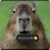 meow.9 (@meow199808) 's Twitter Profile