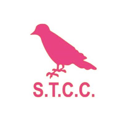 Official Southport Trinity Cricket Club. 3 Senior Teams, Under 18s, Under 15s, Under 13s, Under 11s & Under 9s, All Stars🏏, Women and Girls. Rooks. LDCC Div 2.