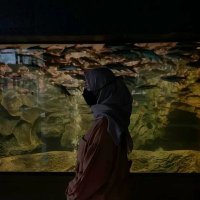 MRL (@mrlsifnh) 's Twitter Profile