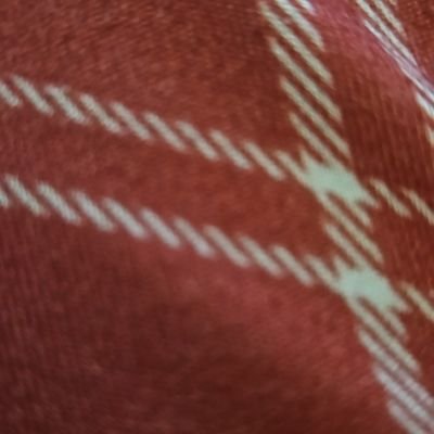 XKCXXXX's profile picture. 