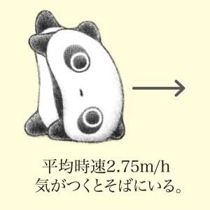 conpeitoイベント用仮アカウント conpeito垢通す予定 再利用ですまない