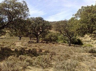 JoseMJimenezDon's profile picture. 