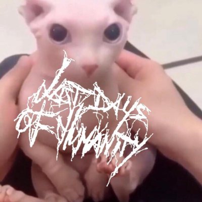 ArchiCrass89528's profile picture. ur local gorefriends