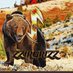 zzirGrizz (@xblzzirgrizz) Twitter profile photo zzirGrizz (@xblzzirgrizz) Twitter profile photo