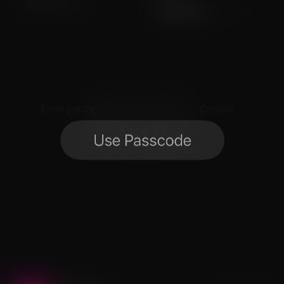 smorescrunch's profile picture. ;