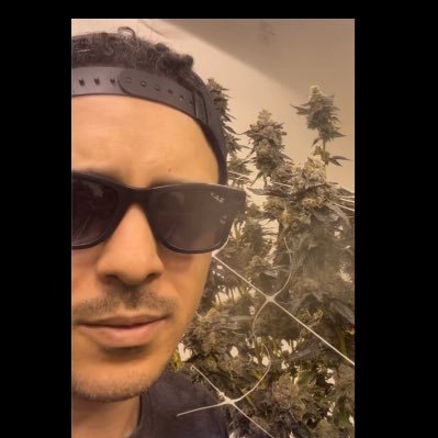 @pinepark .shop co-founder. vertical cannabis operator.