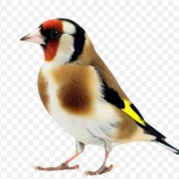 علي (@553_ali555) 's Twitter Profile Photo علي (@553_ali555) 's Twitter Profile Photo