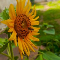 Luen (@luenyely) 's Twitter Profile