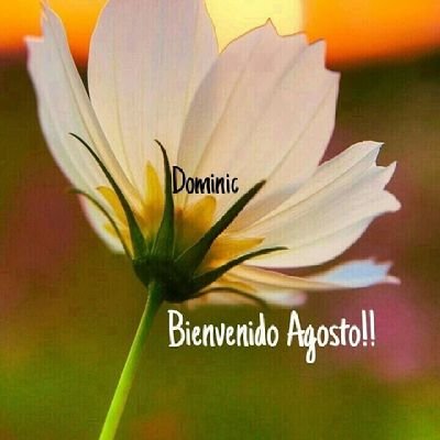 ibettbermudez's profile picture. cosmiatra/linfoterapeuta/Paramedico, Venezolana❤. Como te amo VENEZUELA.