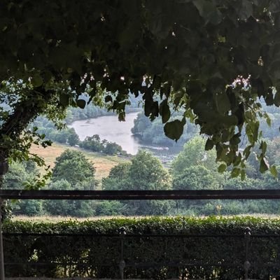 GigiKalis's profile picture. ✌🏼💞