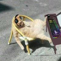 erlo road to granada (@erio__) 's Twitter Profile