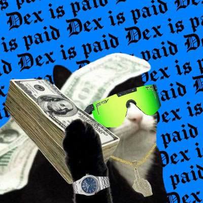 Nolzgg338's profile picture. Solami stacking animal.