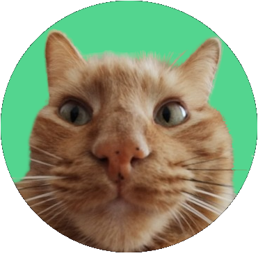 Mewc0in's profile picture. Rugs, jeets and fud not allowed.