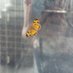 Pamela Stickney (@assocatwalmart) Twitter profile photo Pamela Stickney (@assocatwalmart) Twitter profile photo