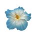 85625 (@guevaraisa85625) Twitter profile photo 85625 (@guevaraisa85625) Twitter profile photo