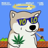 Crypto Only (@_crypto_x_only) 's Twitter Profile