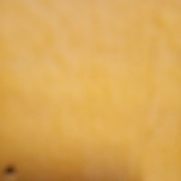 Sertadam (@antepserkan4) 's Twitter Profile