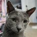 My Cats Pants & Floof (@crystalb7910) Twitter profile photo My Cats Pants & Floof (@crystalb7910) Twitter profile photo