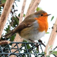 Jack Thomson (@jacksthomson) 's Twitter Profile
