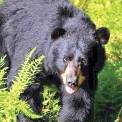 aloooof12's profile picture. Music, guitar, science and a plethora of other interests.