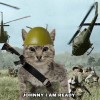 War (@war_on_sol) 's Twitter Profile Photo War (@war_on_sol) 's Twitter Profile Photo