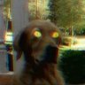 kylenickh's profile picture. 💀💀