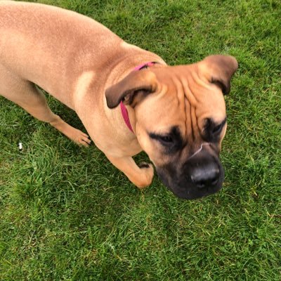 JaneM197271's profile picture. Really difficult to offend being a second generation white migrant that ate garlic before it was fashionable!